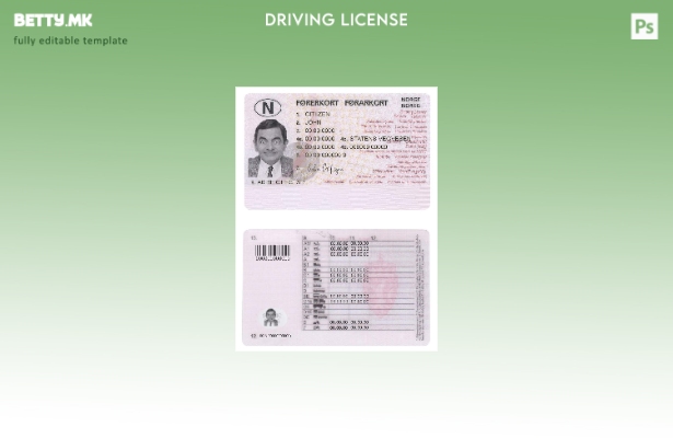 Модерен стил Норвешка возачка дозвола ( – сегашен) шаблон